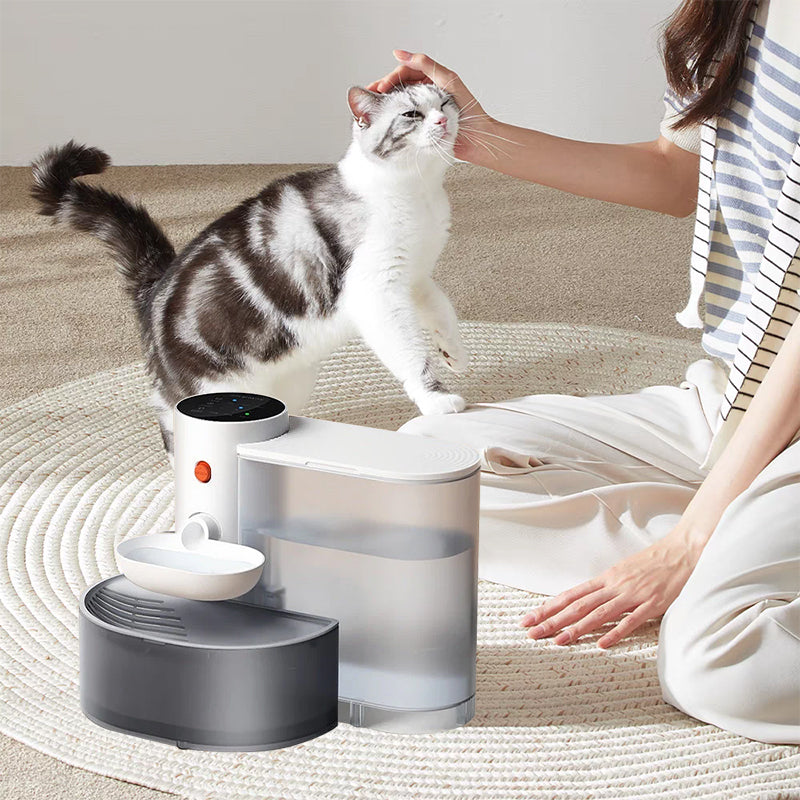 Licevo Pet Water Fountain